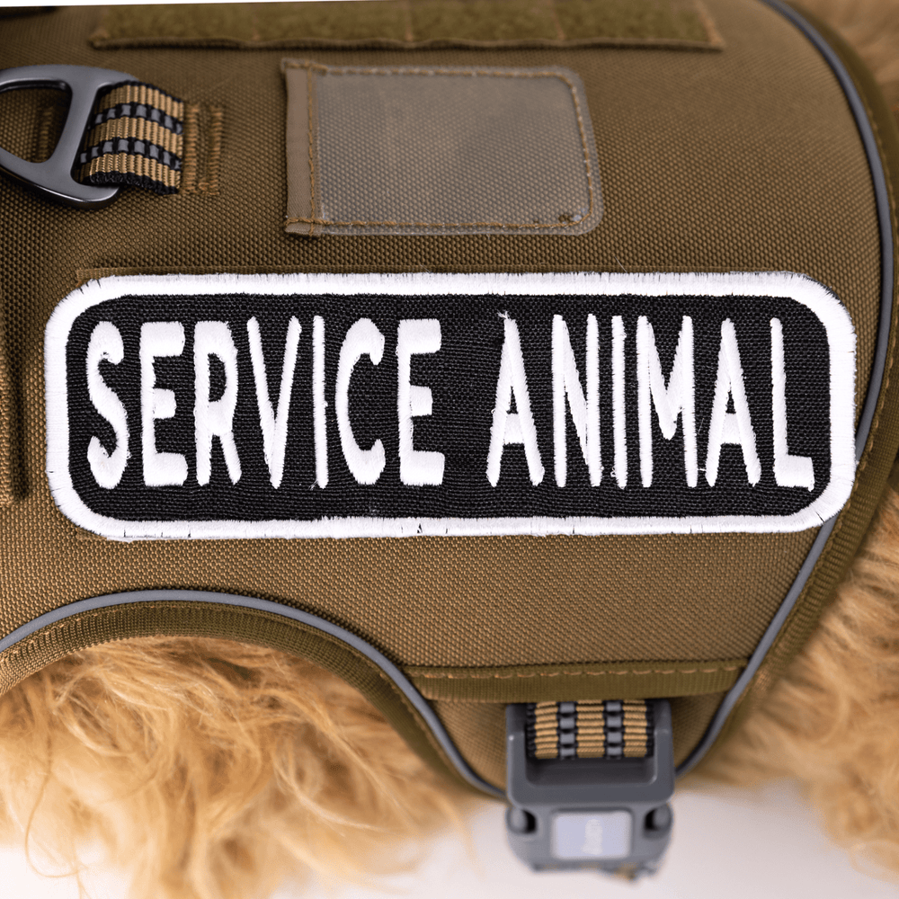 K9 Sport Sack Service Animal 2x6 Patch
