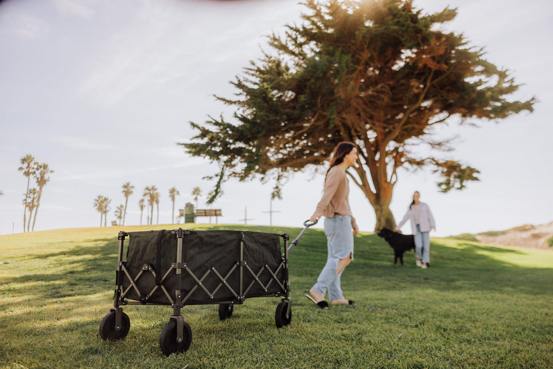 Wilderness Collapsible Folding Wagon